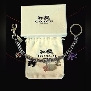 COACH SILVER CHAIN, MULTICOLOR MOTIF BAG CHARM. HEART, DICE, DINO, "C", BOW.